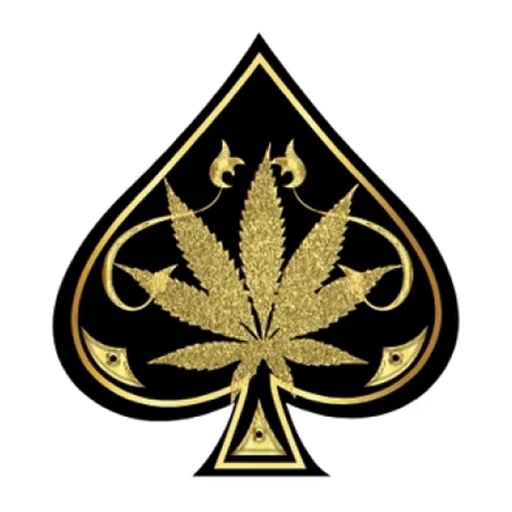 Ace Ultra Premium